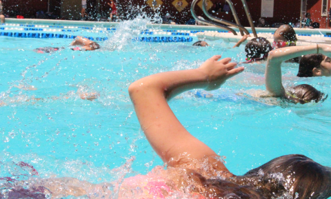 group swim in outdoor pool